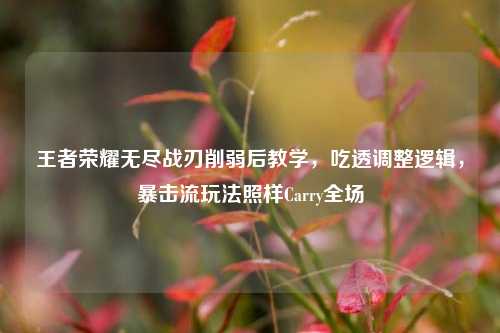 王者荣耀无尽战刃削弱后教学,吃透调整逻辑,暴击流玩法照样Carry全场