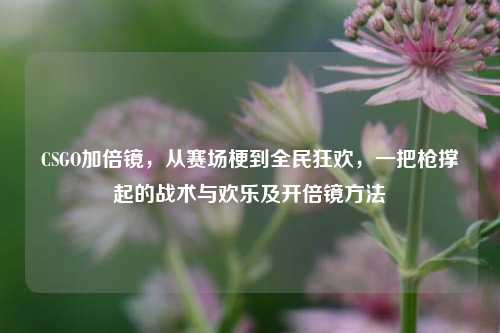 CSGO加倍镜,从赛场梗到全民狂欢,一把枪撑起的战术与欢乐及开倍镜方法