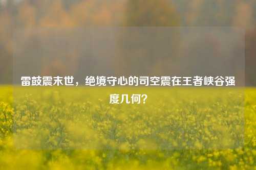 雷鼓震末世，绝境守心的司空震在王者峡谷强度几何？