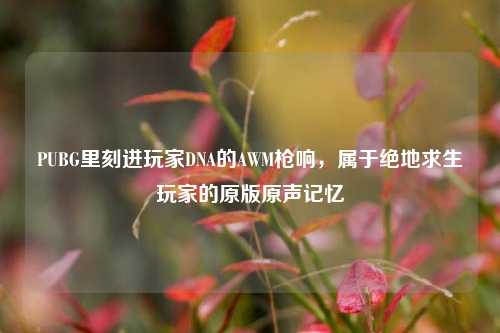 PUBG里刻进玩家DNA的AWM枪响,属于绝地求生玩家的原版原声记忆