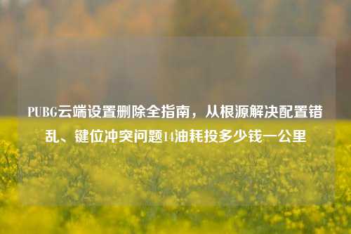 PUBG云端设置删除全指南,从根源解决配置错乱、键位冲突问题14油耗投多少钱一公里
