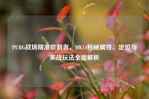 PUBG战场精准收割者，MK14枪械属性、定位与实战玩法全面解析