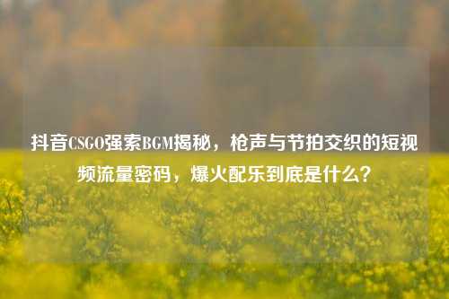 抖音CSGO强索BGM揭秘,枪声与节拍交织的短视频流量密码,爆火配乐到底是什么?
