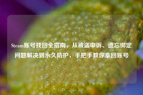 Steam账号找回全指南，从被盗申诉、遗忘绑定问题解决到永久防护，手把手教你拿回账号
