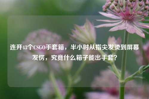 连开43个CSGO手套箱，半小时从指尖发烫到屏幕发愣，究竟什么箱子能出手套？