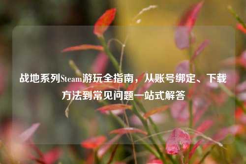 战地系列Steam游玩全指南,从账号绑定、下载方法到常见问题一站式解答