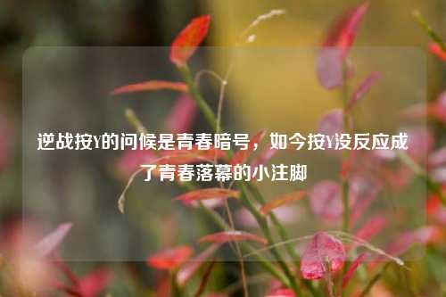 逆战按Y的问候是青春暗号，如今按Y没反应成了青春落幕的小注脚