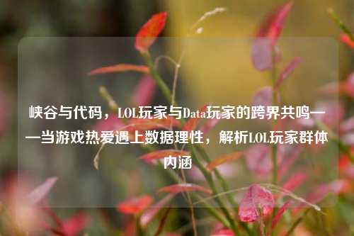 峡谷与代码，LOL玩家与Data玩家的跨界共鸣——当游戏热爱遇上数据理性，解析LOL玩家群体内涵