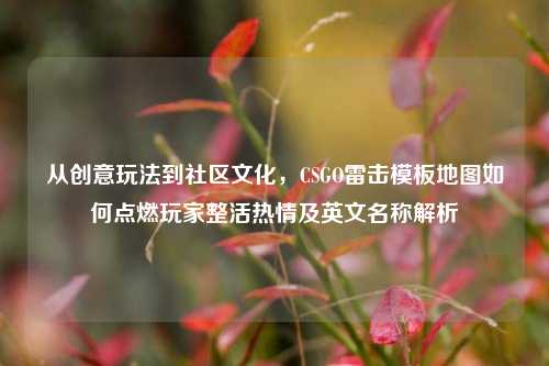 从创意玩法到社区文化,CSGO雷击模板地图如何点燃玩家整活热情及英文名称解析
