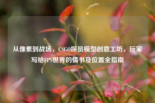从像素到战场，CSGO探员模型创意工坊，玩家写给FPS世界的情书及位置全指南