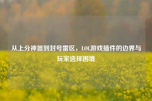 从上分神器到封号雷区，LOL游戏插件的边界与玩家选择困境