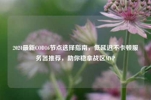 2024最新COD16节点选择指南,低延迟不卡顿服务器推荐,助你稳拿战区MVP