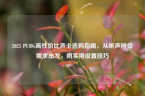 2025 PUBG高性价比声卡选购指南,从听声辨位需求出发,附实用设置技巧