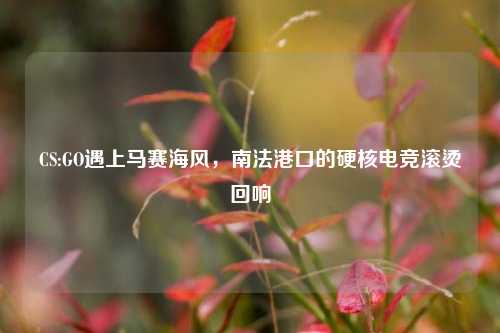 CS:GO遇上马赛海风,南法港口的硬核电竞滚烫回响