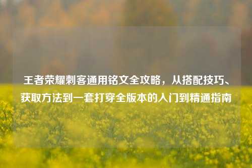 王者荣耀刺客通用铭文全攻略,从搭配技巧、获取方法到一套打穿全版本的入门到精通指南