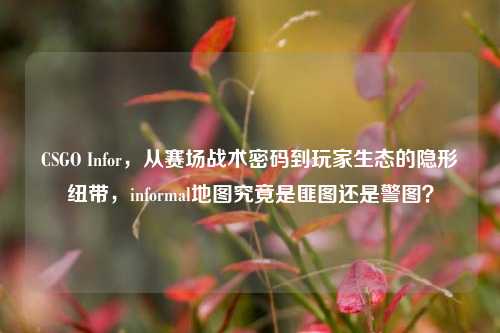 CSGO Infor，从赛场战术密码到玩家生态的隐形纽带，informal地图究竟是匪图还是警图？