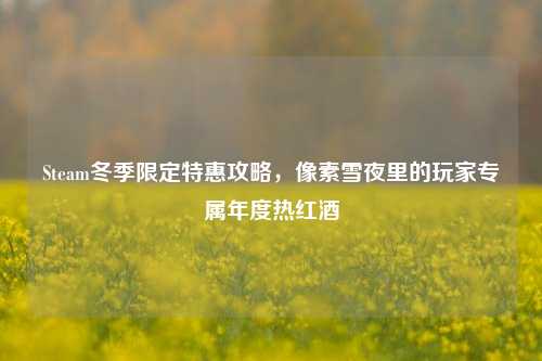 Steam冬季限定特惠攻略,像素雪夜里的玩家专属年度热红酒