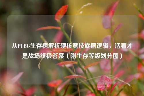 从PUBG生存榜解析硬核竞技底层逻辑，活着才是战场终极答案（附生存等级划分图）