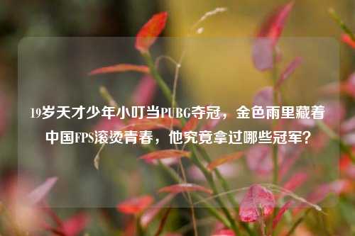 19岁天才少年小叮当PUBG夺冠，金色雨里藏着中国FPS滚烫青春，他究竟拿过哪些冠军？