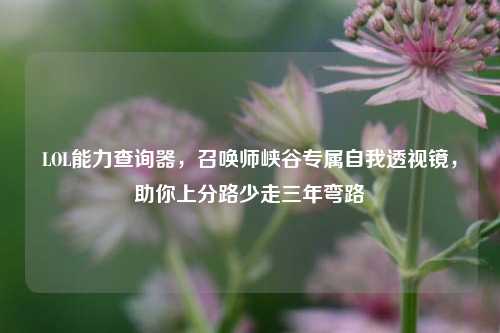 LOL能力查询器，召唤师峡谷专属自我透视镜，助你上分路少走三年弯路