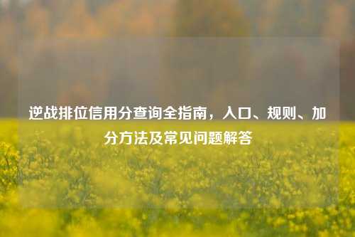 逆战排位信用分查询全指南,入口、规则、加分方法及常见问题解答