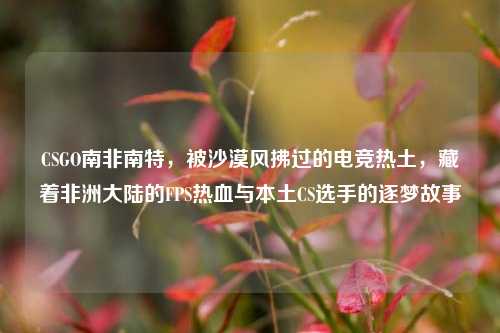 CSGO南非南特,被沙漠风拂过的电竞热土,藏着非洲大陆的FPS热血与本土CS选手的逐梦故事