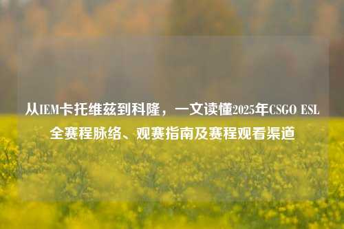 从IEM卡托维兹到科隆，一文读懂2025年CSGO ESL全赛程脉络、观赛指南及赛程观看渠道