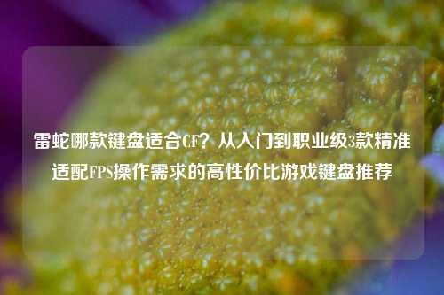 雷蛇哪款键盘适合CF?从入门到职业级3款精准适配FPS操作需求的高性价比游戏键盘推荐