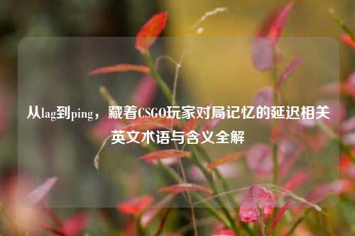 从lag到ping，藏着CSGO玩家对局记忆的延迟相关英文术语与含义全解