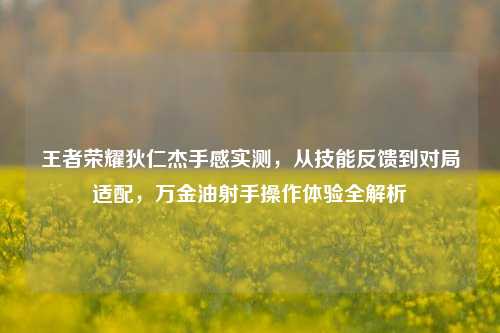 王者荣耀狄仁杰手感实测，从技能反馈到对局适配，万金油射手操作体验全解析