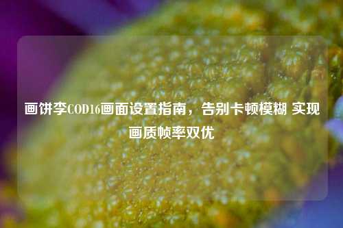 画饼李COD16画面设置指南,告别卡顿模糊 实现画质帧率双优