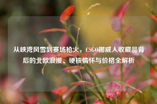 从峡湾风雪到赛场枪火，CSGO挪威人收藏品背后的北欧浪漫、硬核情怀与价格全解析