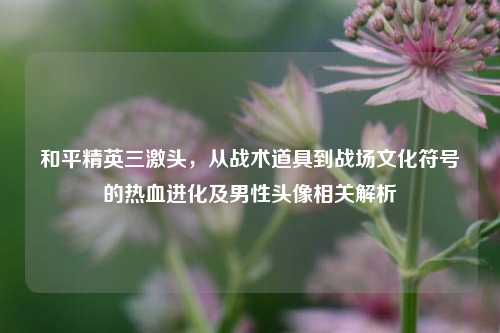 和平精英三激头，从战术道具到战场文化符号的热血进化及男性头像相关解析