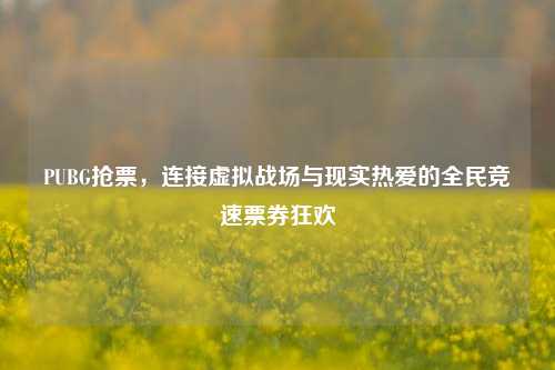 PUBG抢票，连接虚拟战场与现实热爱的全民竞速票券狂欢