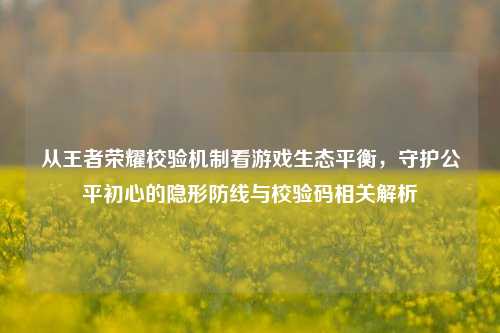 从王者荣耀校验机制看游戏生态平衡，守护公平初心的隐形防线与校验码相关解析