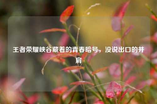 王者荣耀峡谷藏着的青春暗号，没说出口的并肩