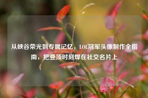 从峡谷荣光到专属记忆，LOL冠军头像制作全指南，把登顶时刻焊在社交名片上
