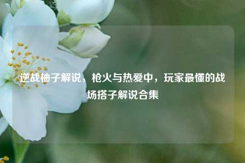 逆战柚子解说，枪火与热爱中，玩家最懂的战场搭子解说合集
