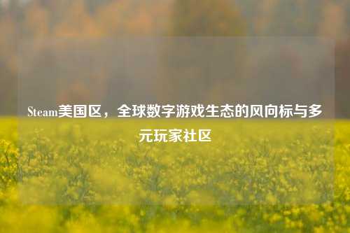Steam美国区，全球数字游戏生态的风向标与多元玩家社区
