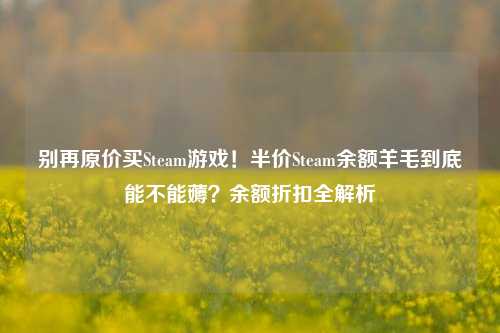 别再原价买Steam游戏！半价Steam余额羊毛到底能不能薅？余额折扣全解析