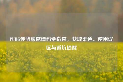 PUBG体验服邀请码全指南,获取渠道、使用误区与避坑提醒