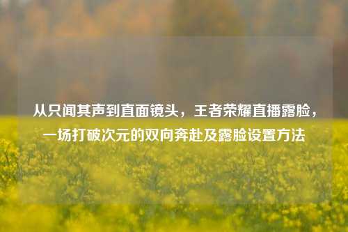 从只闻其声到直面镜头，王者荣耀直播露脸，一场打破次元的双向奔赴及露脸设置方法