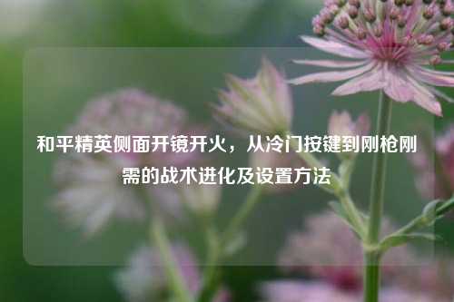 和平精英侧面开镜开火，从冷门按键到刚枪刚需的战术进化及设置方法
