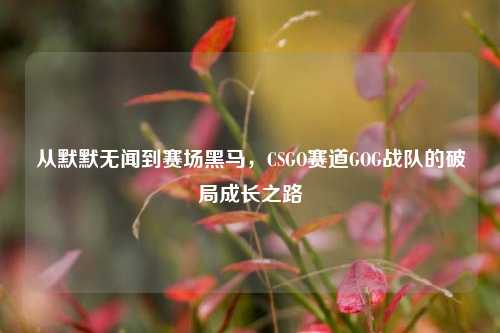 从默默无闻到赛场黑马，CSGO赛道GOG战队的破局成长之路
