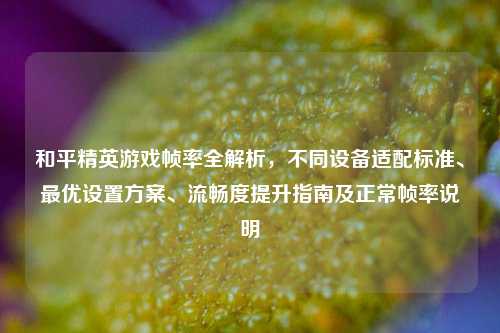 和平精英游戏帧率全解析,不同设备适配标准、最优设置方案、流畅度提升指南及正常帧率说明