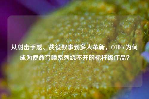 从射击手感、战役叙事到多人革新，COD16为何成为使命召唤系列绕不开的标杆级作品？