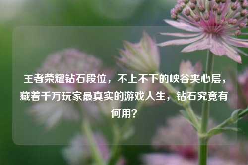 王者荣耀钻石段位，不上不下的峡谷夹心层，藏着千万玩家最真实的游戏人生，钻石究竟有何用？
