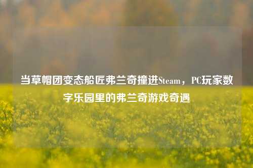 当草帽团变态船匠弗兰奇撞进Steam，PC玩家数字乐园里的弗兰奇游戏奇遇