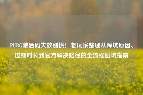 PUBG激活码失效别慌！老玩家整理从踩坑原因、过期时长到官方解决路径的全流程避坑指南