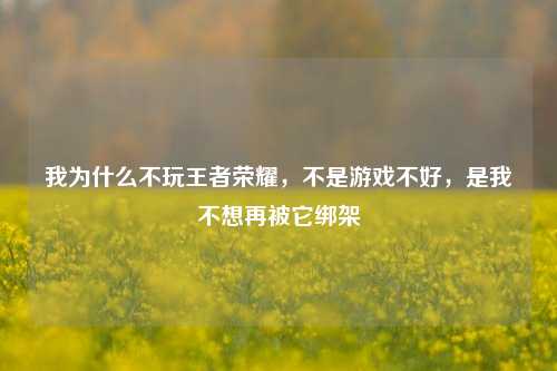 我为什么不玩王者荣耀，不是游戏不好，是我不想再被它绑架